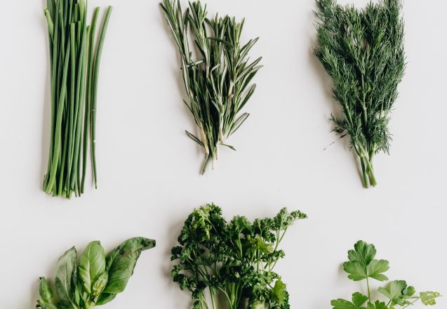 Can Herbs Help Balance Your Hormones?