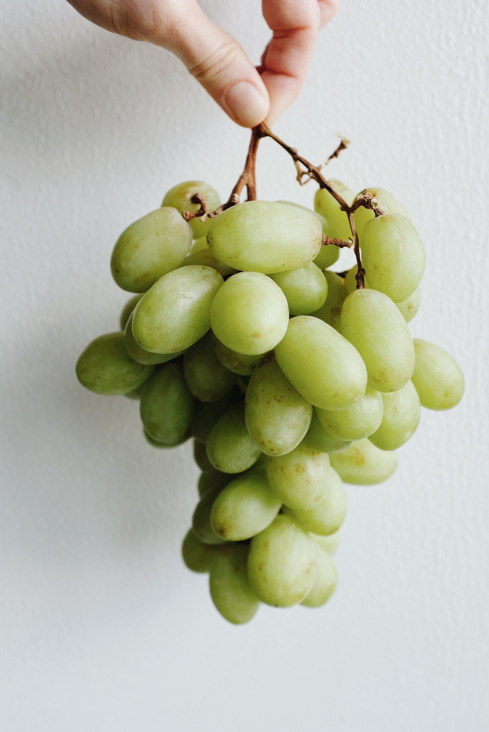 Are Grapes Good For Dieting Next Level Fitness